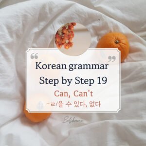 ㄹ/을 수 있어요 grammar (can, can’t)