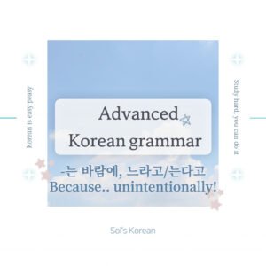 ‘는 바람에,’ ‘느라고/는다고’ Grammar Key Usage, Differences with Practice in Korean