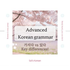 가지다 vs 있다, What is the difference?