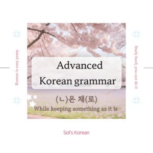 ㄴ/은 채로 Grammar: While keeping something as it is